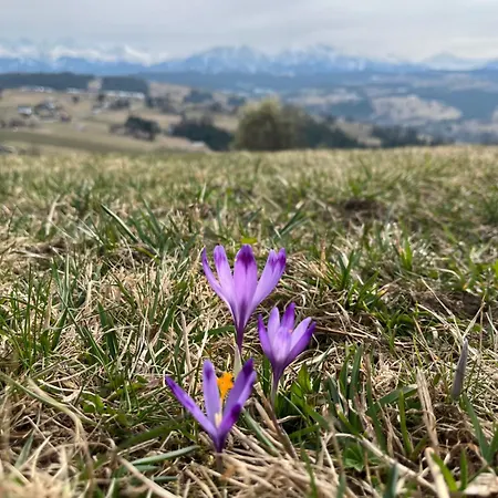 Bajkowa Panorama Czerwienne